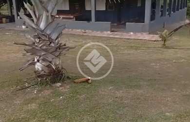 Imagem 9: Santa Cruz de Goiás - Fazenda de 22 Alqueires codigo 129734