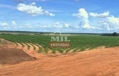 Imagem: A fazenda possui 500m² de Área e está localizado em Aparecida