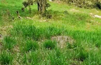 Imagem: O terreno possui 575m² de Área e está localizado em Jardim