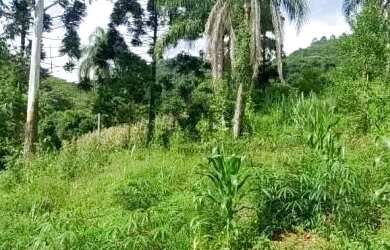 Imagem 5: Sítio bairro São Jacó, Nova Petrópolis.RS Ref. 159