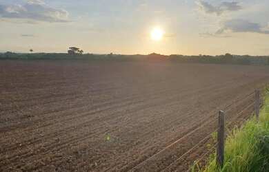 Imagem 5: Fazenda de 404 hec em Nobres MT. Com 300hec formados 13 milhões