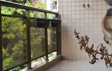 Imagem 5: Imóvel para aluguel possui 118 metros quadrados com 3 quartos em Tijuca...