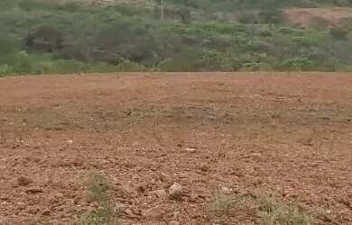 Imagem 2: Sítio localizado no Municípo Sítio do Quinto/BA