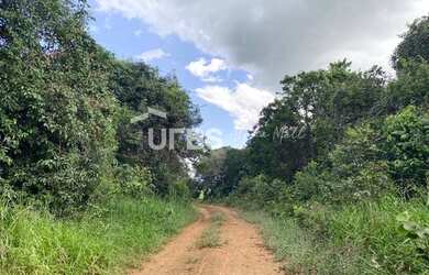 Imagem 10: Fazenda/Sítio/Chácara para venda tem 288000 metros quadrados