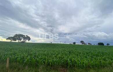 Imagem 6: Fazenda/Sítio/Chácara para venda tem 288000 metros quadrados