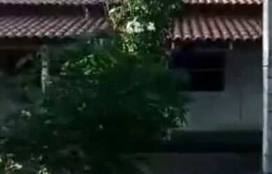 Imagem: Vendo chácara