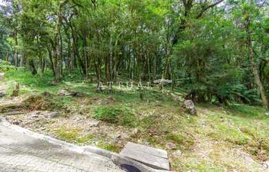 Imagem 2: TERRENO CONDOMÍNIO PINHEIRO GROSSO