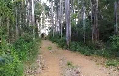 Imagem 6: Sítio / Chácara para Venda em Nova Petrópolis, Linha Imperial