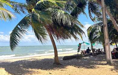 Imagem 14: VENDO CASA NO MARAJÓ. Varanda, Área de serviço, 350m² de Áreae2 Vagas...