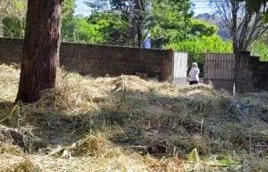 Imagem 2: AREA - CITY AMÉRICA - SP