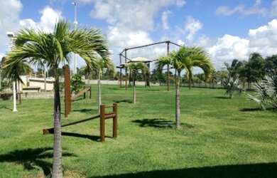 Imagem 4: Vendo lote no Maikai. 