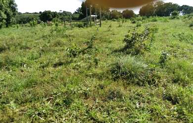 Imagem 5: Vendo Fazenda de 440 ha à 90 km Cuiabá - Rosário do Oeste MT(totalmene documenta e formada