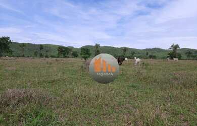 Imagem 1: Fazenda à venda, 100 alqueires por R$ 12.000.000 - Fazenda Nova/GO