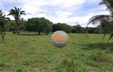 Imagem 2: Fazenda à venda, 100 alqueires por R$ 12.000.000 - Fazenda Nova/GO