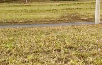 Imagem 3: Terreno no Condomínio Jardins Nápoles, em Senador Canedo