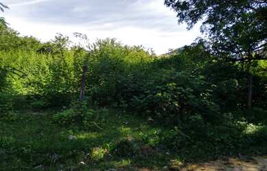 Imagem 4: Lote/Terreno para venda com 980M2 PLANO a 200 metros do asfalto