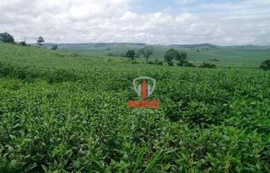 Imagem 1: Sítio à venda 17 Alqueires por R$ 2.500.000 - Rural - Jataizinho/Paraná