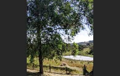 Imagem 1: 08 Alqueires, Rica em Água, Bela Vista Goiás- Goiás