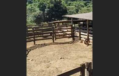 Imagem 3: 08 Alqueires, Rica em Água, Bela Vista Goiás- Goiás