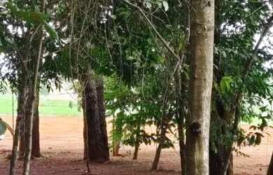 Imagem 4: Terreno à venda no bairro Residencial Recanto Do Ipês em Bela Vista...