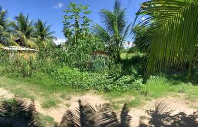 Imagem: O terreno possui 450m² de Área e está localizado em Porto