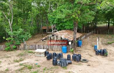 Imagem 9: Fazenda 57,3 alqueires 277,33 hectares São Miguel do Araguaia - Go