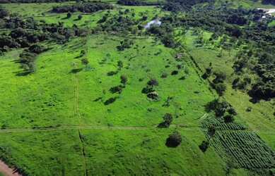 Imagem 4: Fazenda 32 alqueires a venda em Bela Vista de Goiás