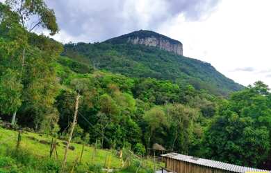 Imagem 5: Sítio / Chácara para Venda em Nova Petrópolis, Linha Riachuelo, 3 dormitórios,...