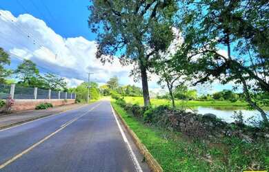 Imagem 2: Sítio / Chácara para Venda em Linha Nova, Linha Nova