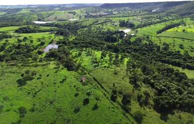 Imagem 9: Fazenda 32 alqueires a venda em Bela Vista de Goiás