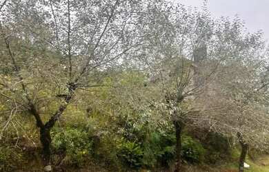 Imagem 6: Terreno - Bairro Vale das Colinas