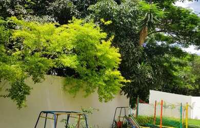 Imagem 10: Alugo sítio disponível Natal e Réveillon