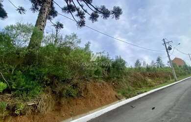 Imagem 2: TERRENO RESIDENCIAL EM LOTEAMENTO - GRAMADO