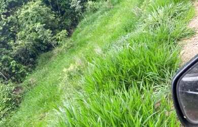 Imagem 12: Arrendo Fazenda de 18 alqueires próxima ao asfalto