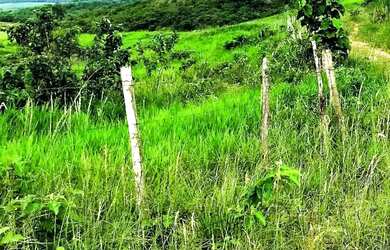 Imagem 1: Fazenda de 280 Tarefas pra fazer