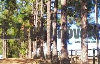 Imagem: O terreno possui 798600m² de Área e está localizado em Porto