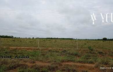 Imagem 3: Fazenda no Município do Peixe-Tocantins, toda formada em pastagem, com...