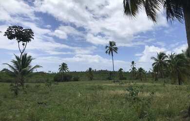 Imagem 5: 160 HECTARES EM CARNEIROS