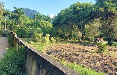 Imagem 7: Terreno para Venda em Rio de Janeiro, Ilha de Guaratiba