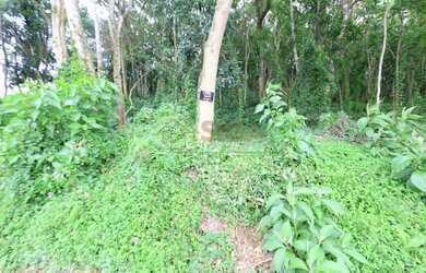 Imagem: O terreno possui 858m² de Área e está localizado em Olaria