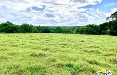 Imagem: A fazenda possui 13m² de Área e está localizado em Catu