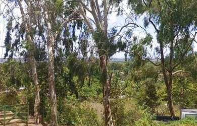 Imagem 5: Fazenda em Manimbu Tibau do Sul - Tibau do Sul