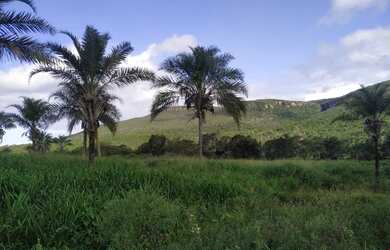 Imagem: A fazenda está localizado em Iramaia, BA à venda por R$6.000.000