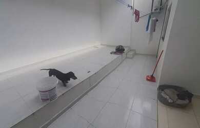 Imagem 7: Casa no parque dez. 2 Vagas na garageme3 Dormitórios