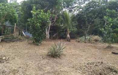 Imagem 6: Vende- se um terreno. 