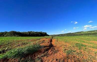 Imagem 2: Fazenda 203 Hectares Leopoldo De Bulhões GO