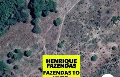 Imagem 3: Fazenda de 274 alqueires plana a 55 mil por alqueires no Tocantins