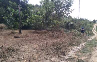 Imagem 4: Vende- se um terreno. 