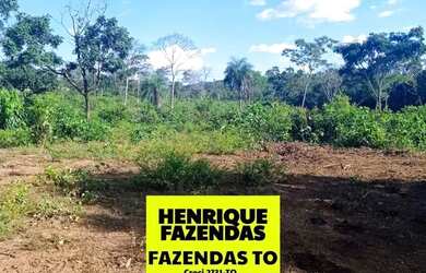 Imagem 10: Fazenda de 274 alqueires plana a 55 mil por alqueires no Tocantins