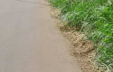 Imagem: O terreno possui 1000m² de Área, Imóvel novo e está localizado